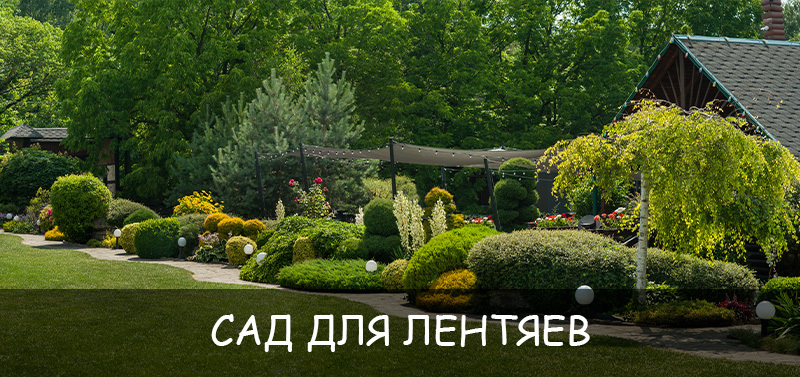Сад для лентяев