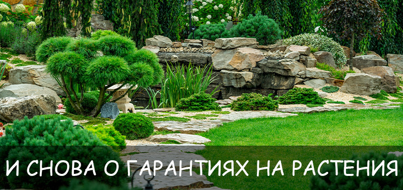 И снова о гарантиях на растения