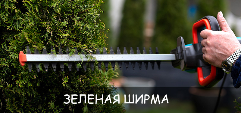 Зеленая ширма