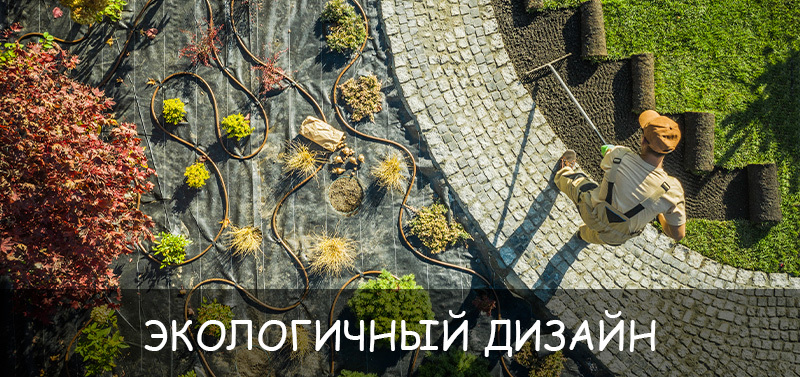 Экологичный ландшафтный дизайн: гармония природы и красоты