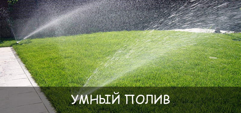 Умный полив: автоматические системы орошения