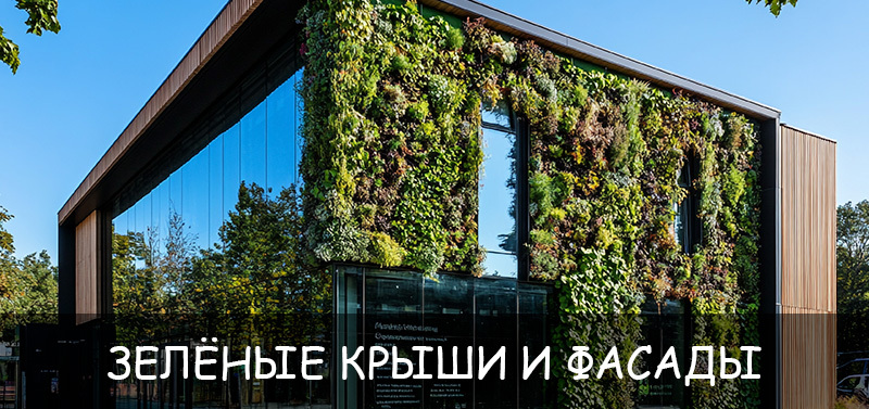 Зелёные крыши и фасады зданий: новый тренд городского озеленения